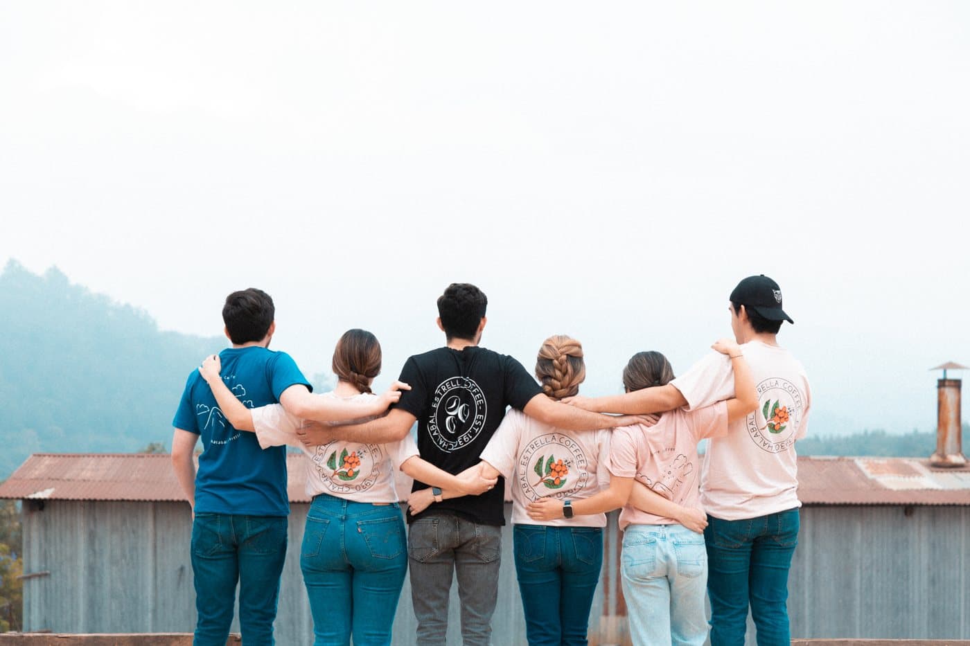 The farm team