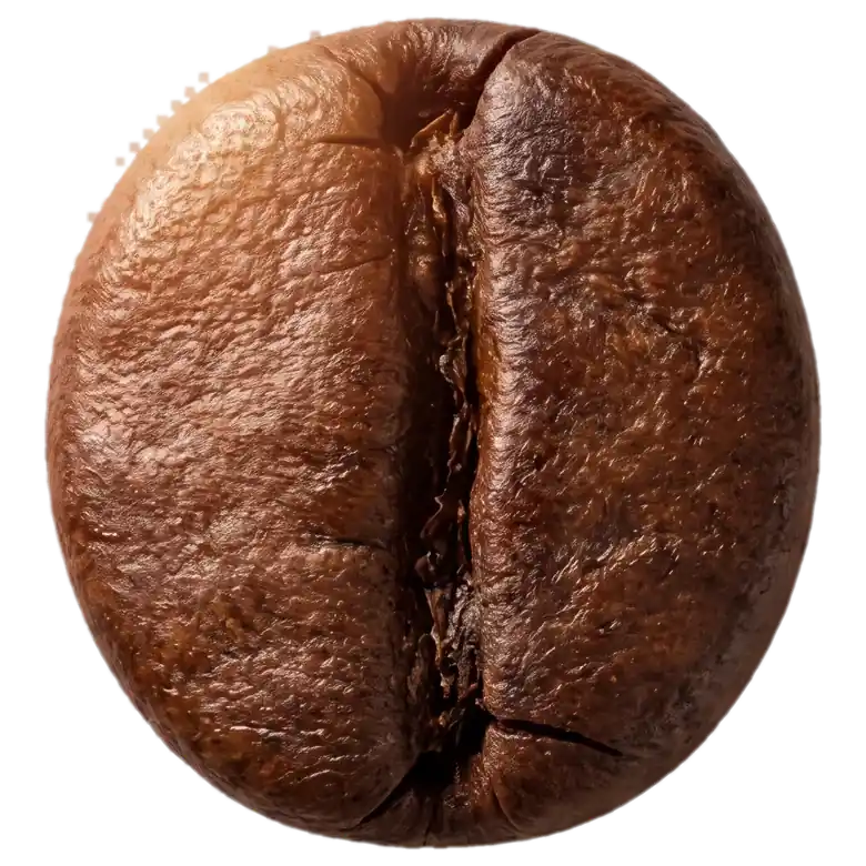 Grano de café tostado — etapa del proceso